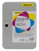 Шкафчик для ключей Silwerhof на 60ключ. 250х180х80мм комппл.60 брелков серый металл