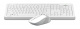 Клавиатура + мышь A4Tech Fstyler FG1010 клав:белый/серый мышь:белый/серый USB беспроводная Multimedia (FG1010 WHITE)