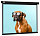 Экран Cactus 183x244см Wallscreen CS-PSW-183X244-BK 4:3 настенно-потолочный рулонный черный