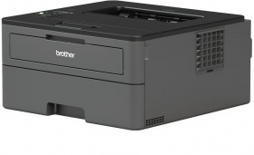 Принтер лазерный Brother HL-L2371DN (HLL2371DNR1) A4 Duplex Net черный